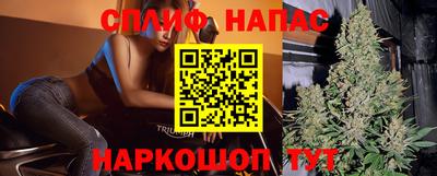 ALPHA PVP Нальчик