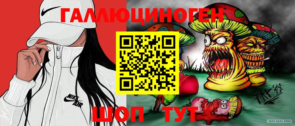Александров  Галлюциногенные грибы мицелий  Вход с VPN 